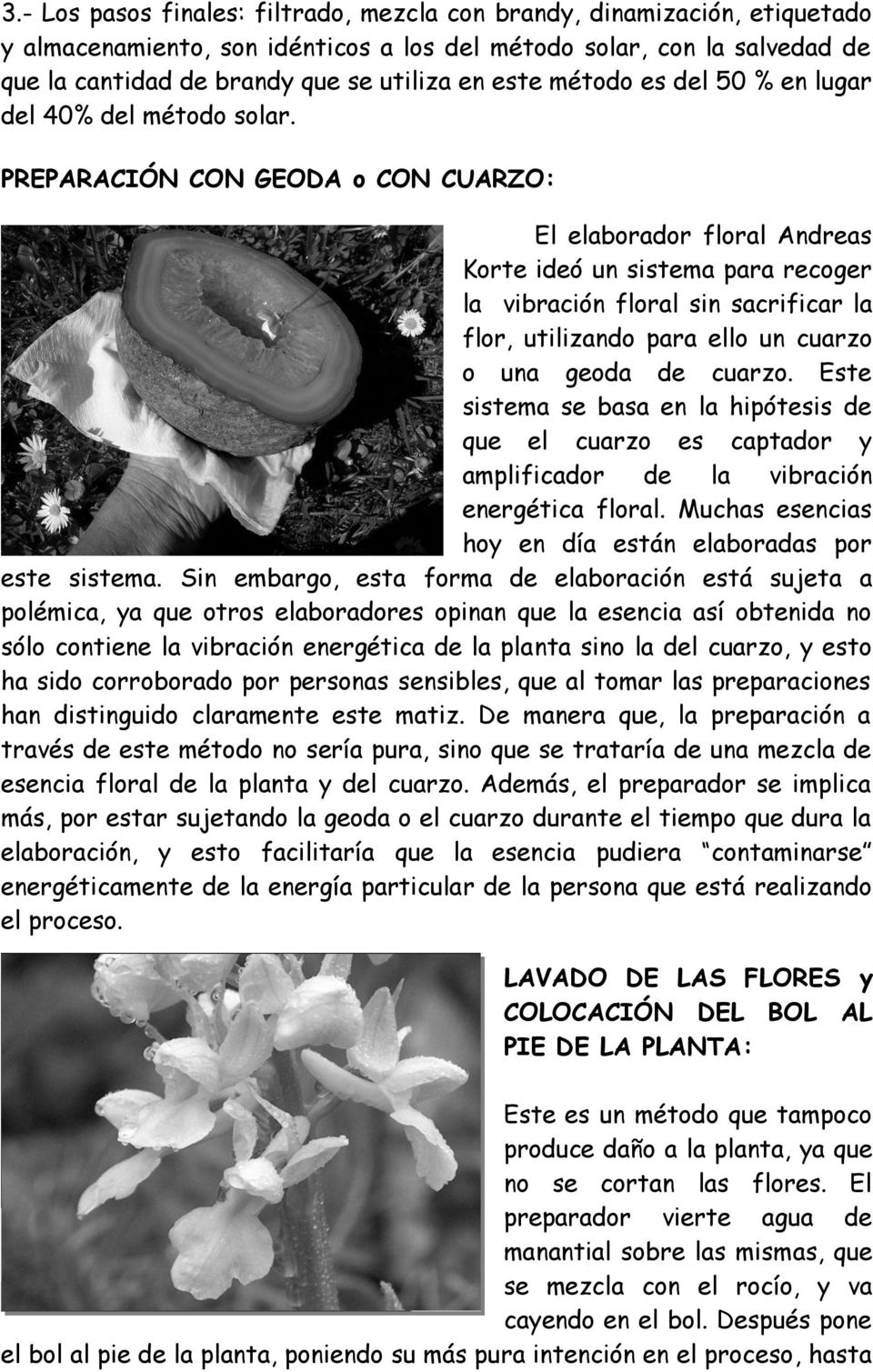 PREPARACIÓN CON GEODA o CON CUARZO: El elaborador floral Andreas Korte ideó un sistema para recoger la vibración floral sin sacrificar la flor, utilizando para ello un cuarzo o una geoda de cuarzo.