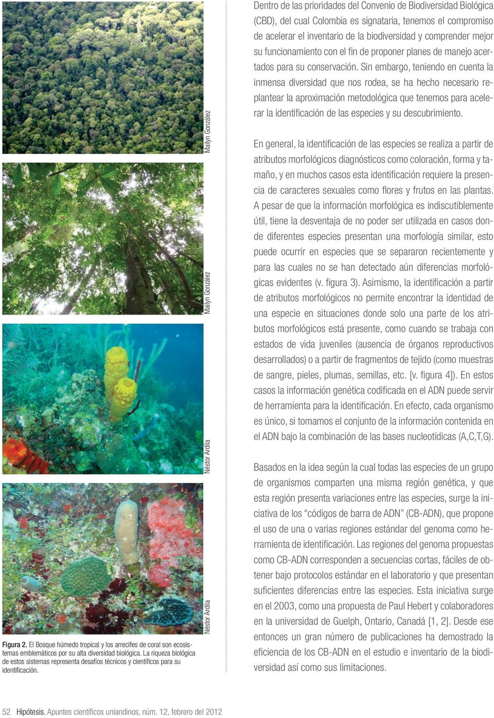 Néstor Ardila Néstor Ardila Dentro de las prioridades del Convenio de Biodiversidad Biológica (CBD), del cual Colombia es signataria, tenemos el compromiso de acelerar el inventario de la