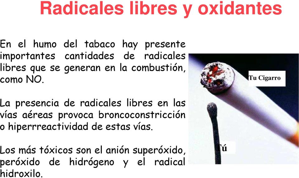 Tu Cigarro La presencia de radicales libres en las vías aéreas provoca broncoconstricción