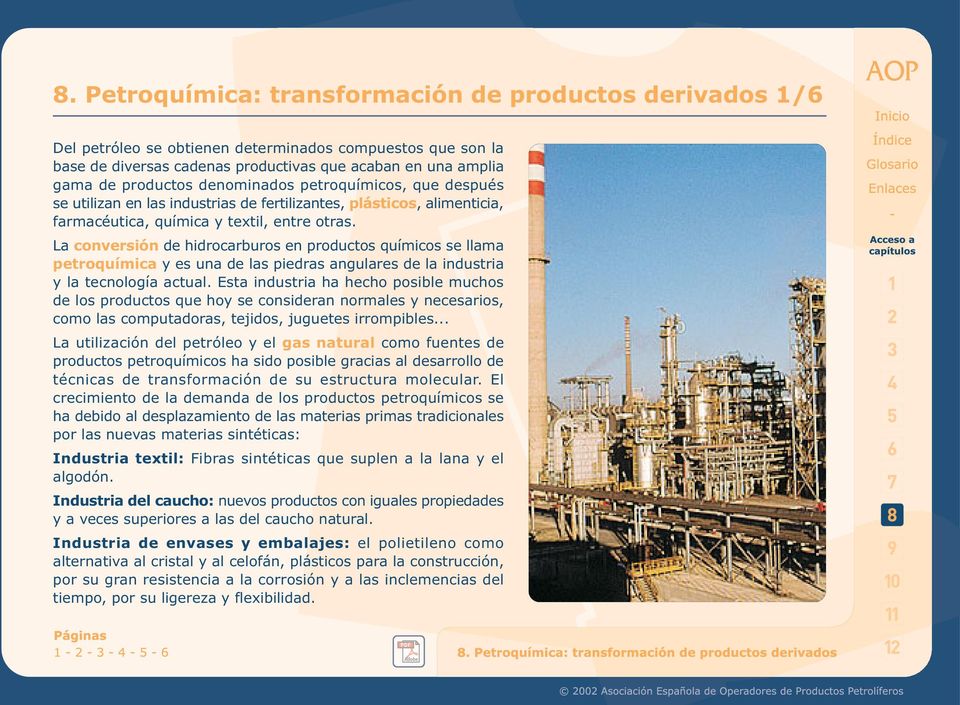 La conversión de hidrocarburos en productos químicos se llama petroquímica y es una de las piedras angulares de la industria y la tecnología actual.