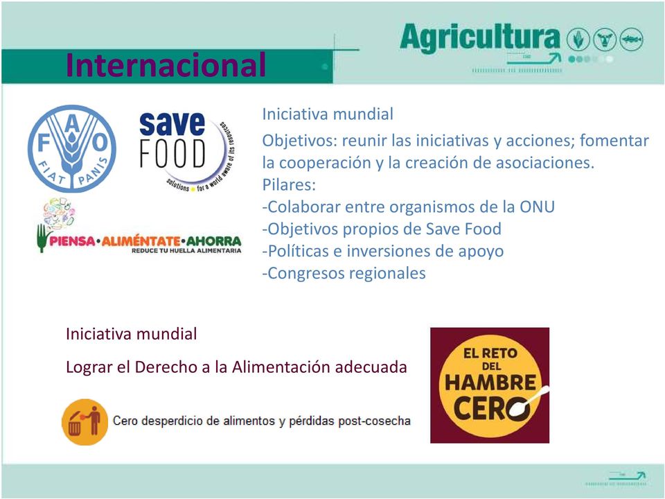 Pilares: -Colaborar entre organismos de la ONU -Objetivos propios de Save Food