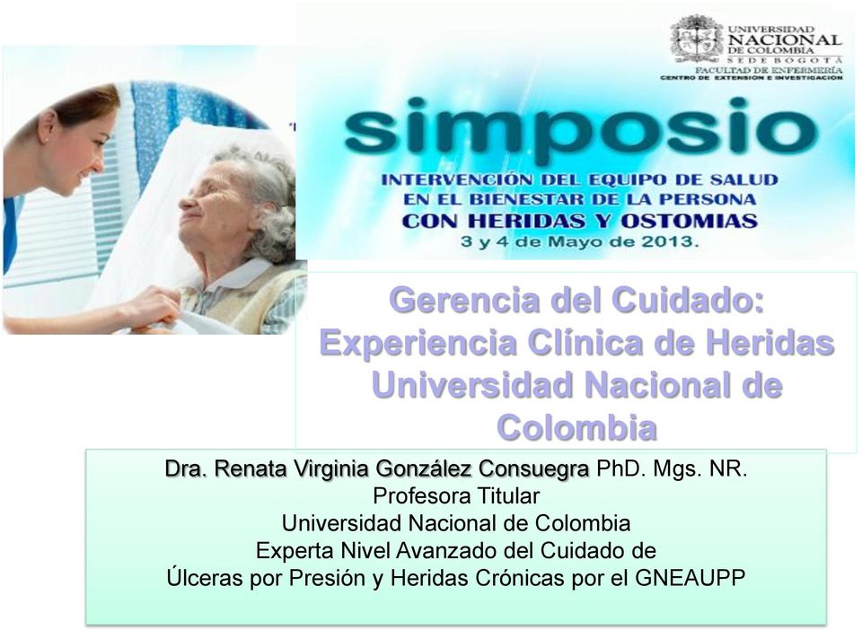 NR. Profesora Titular Universidad Nacional de Colombia Experta Nivel