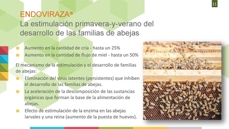 latentes (persistentes) que inhiben el desarrollo de las familias de abejas.