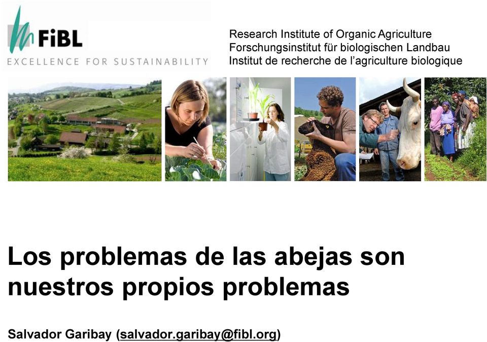 recherche de l agriculture biologique Los problemas de las
