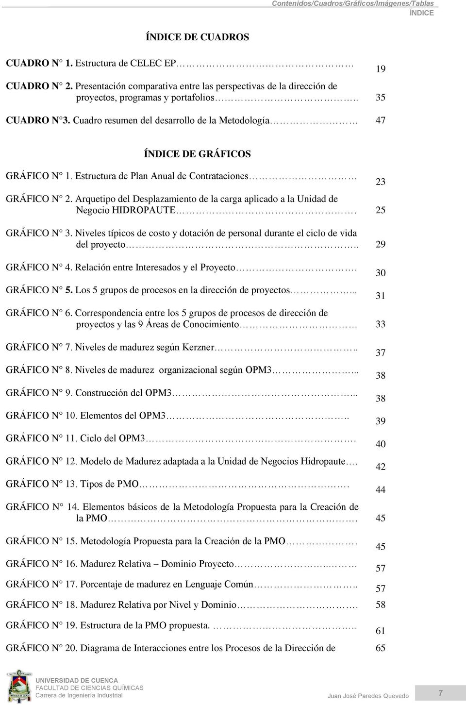 Cuadro resumen del desarrollo de la Metodología 47 19 ÍNDICE DE GRÁFICOS GRÁFICO N 1. Estructura de Plan Anual de Contrataciones GRÁFICO N 2.