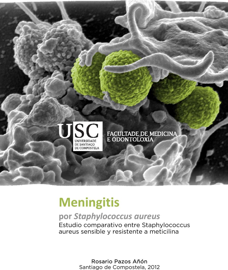 entre Staphylococcus aureus sensible y