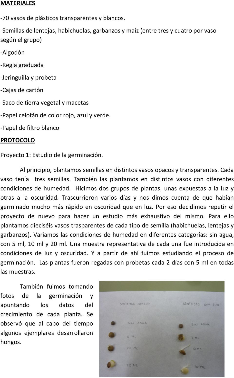 macetas - Papel celofán de color rojo, azul y verde. - Papel de filtro blanco PROTOCOLO Proyecto 1: Estudio de la germinación.