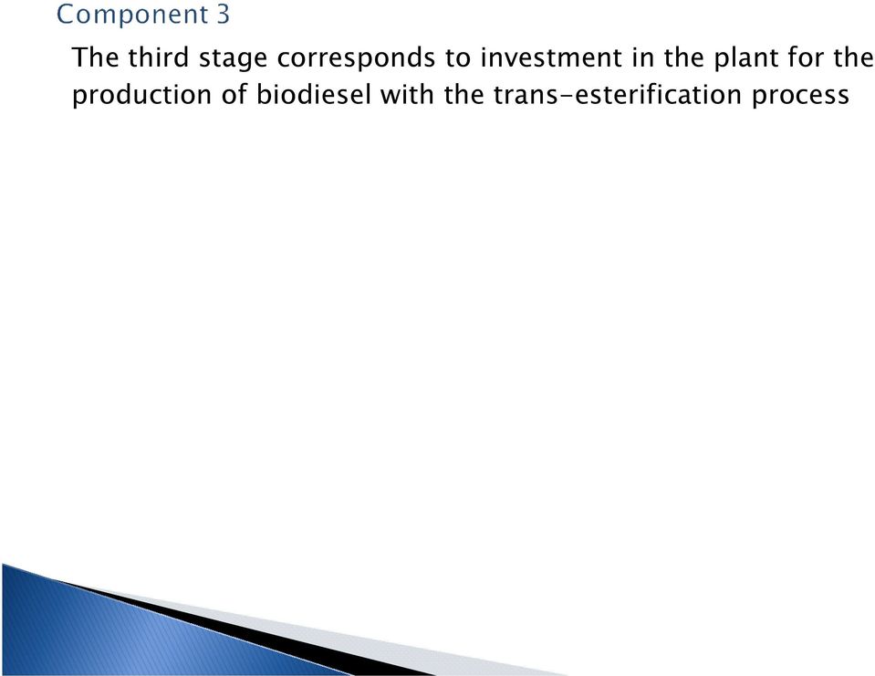 the production of biodiesel
