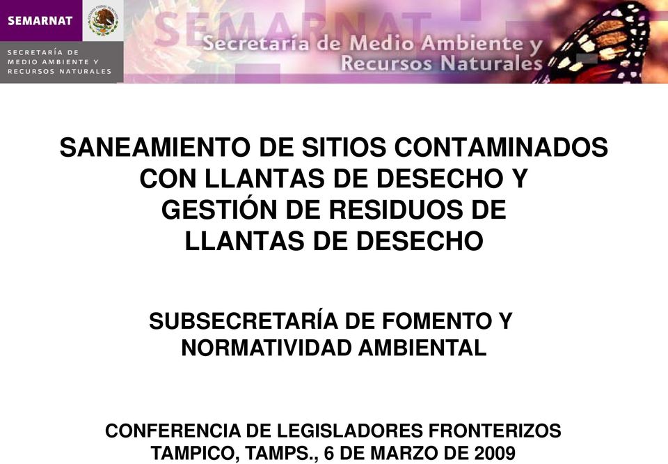 SUBSECRETARÍA DE FOMENTO Y NORMATIVIDAD AMBIENTAL