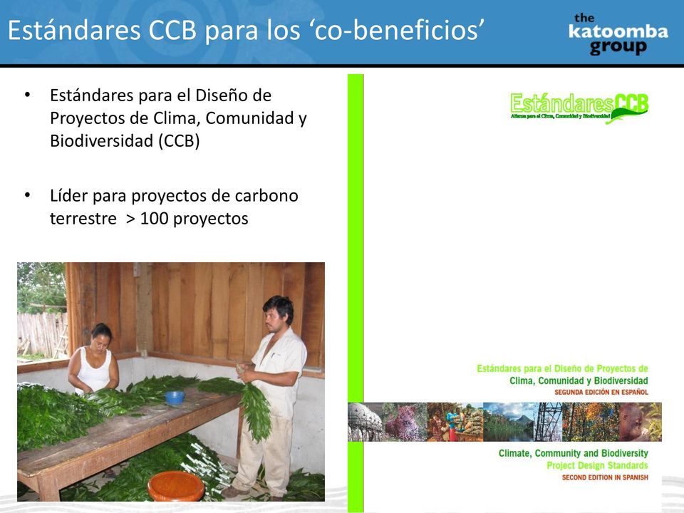 Clima, Comunidad y Biodiversidad (CCB)
