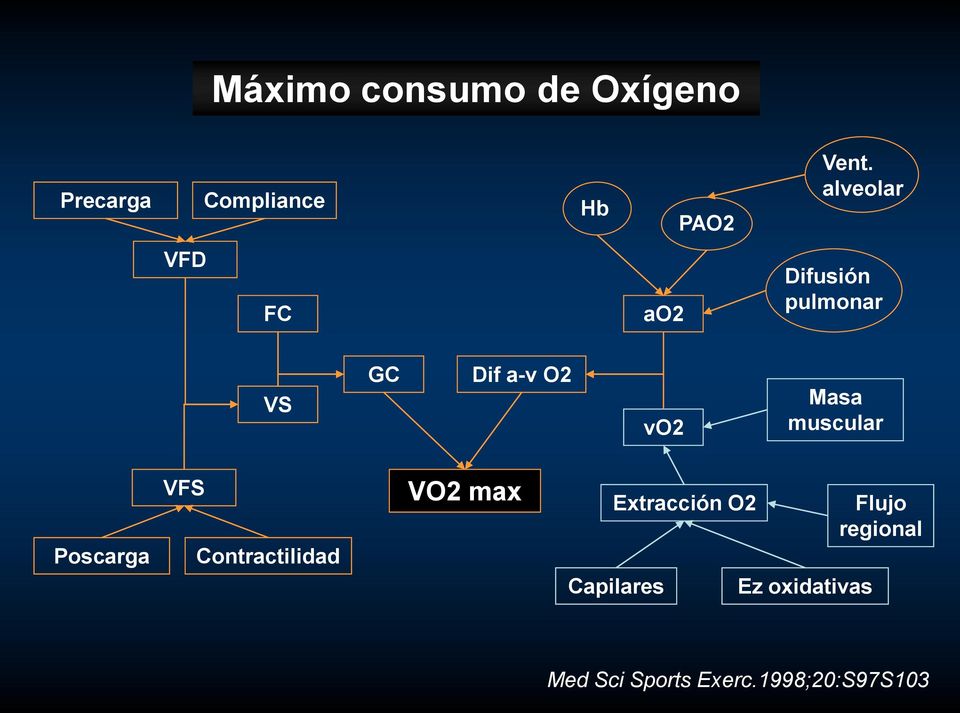 muscular Poscarga VFS Contractilidad VO2 max Extracción O2