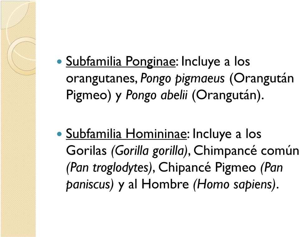 Subfamilia Homininae: Incluye a los Gorilas (Gorilla gorilla),
