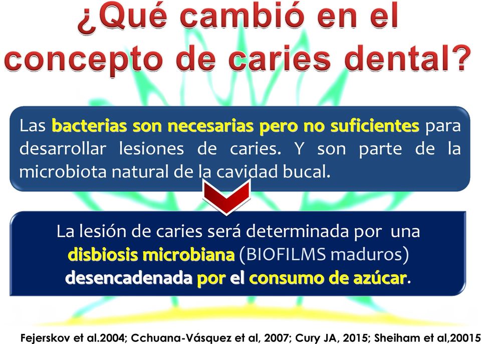 La lesión de caries serádeterminada por una disbiosis microbiana(biofilms maduros)