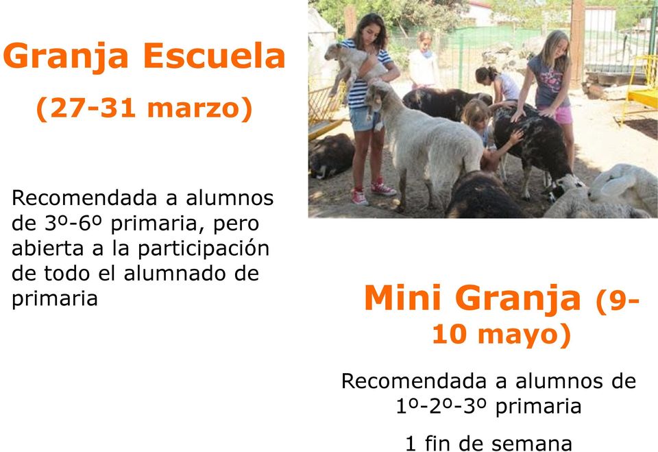 todo el alumnado de primaria Mini Granja (9-10 mayo)