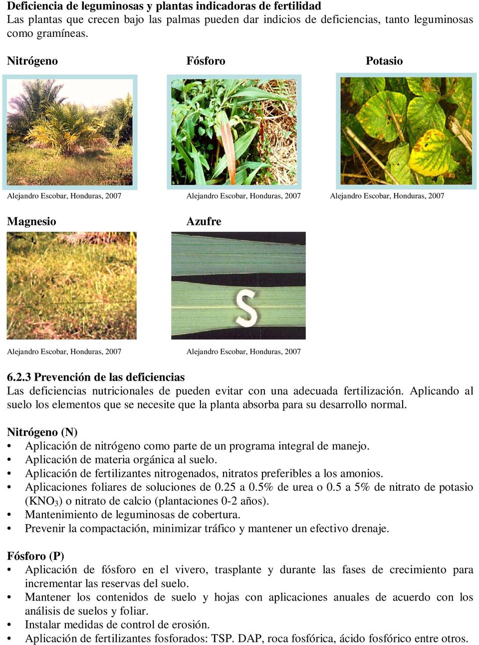 Honduras, 2007 6.2.3 Prevención de las deficiencias Las deficiencias nutricionales de pueden evitar con una adecuada fertilización.
