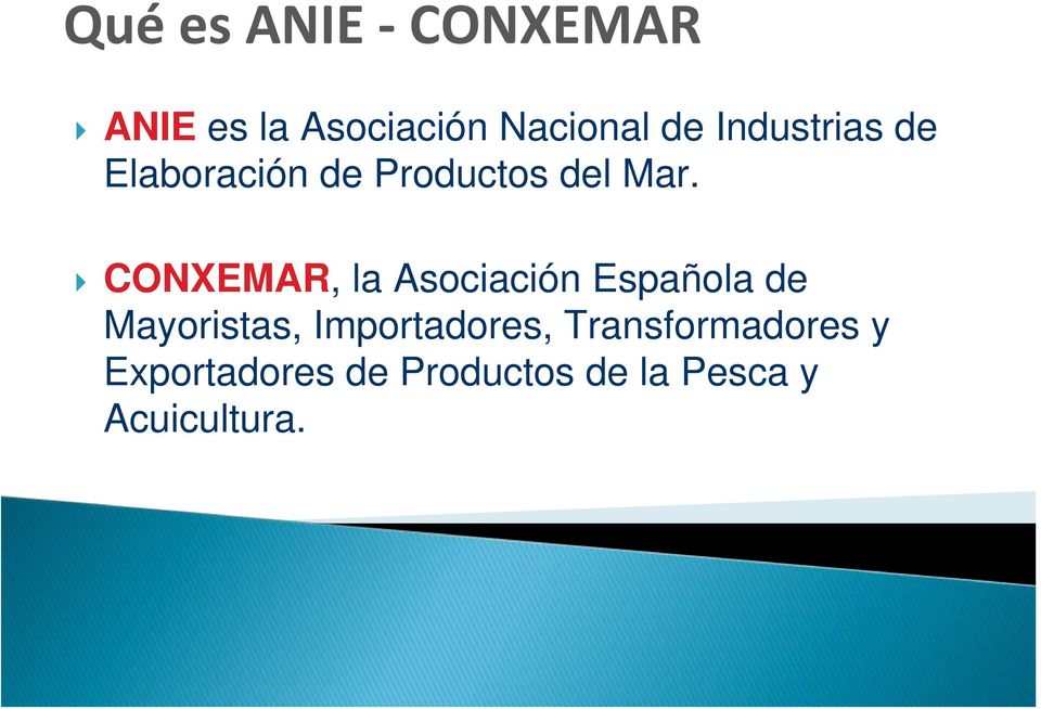 CONXEMAR, la Asociación Española de Mayoristas,