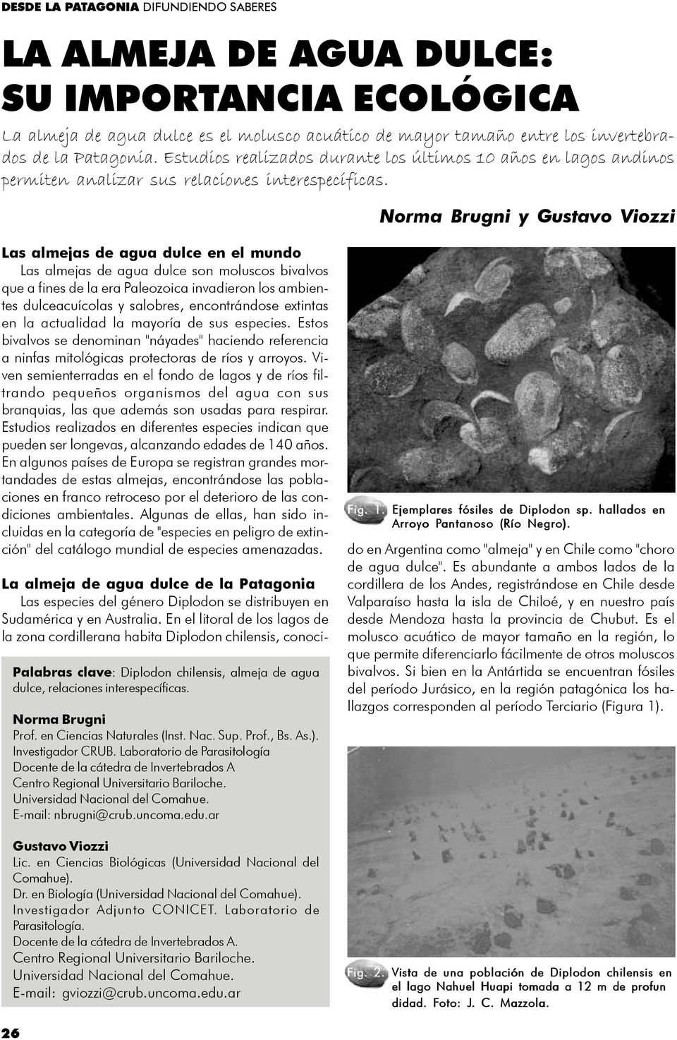 Norma Brugni y Gustavo Viozzi Las almejas de agua dulce en el mundo Las almejas de agua dulce son moluscos bivalvos que a fines de la era Paleozoica invadieron los ambientes dulceacuícolas y