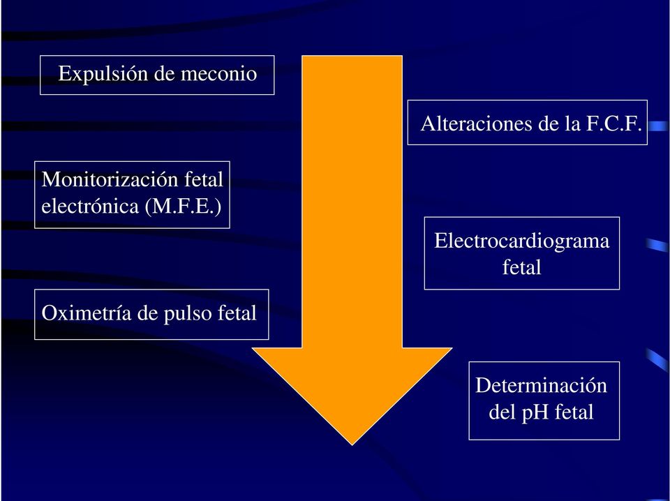 F.E.) Electrocardiograma fetal Oximetría