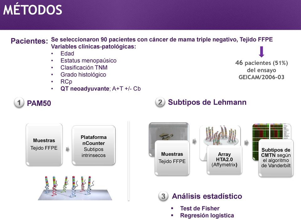 pacientes (51%) del ensayo GEICAM/2006-03 PAM50 Subtipos de Lehmann Muestras Tejido FFPE Plataforma ncounter Subtipos