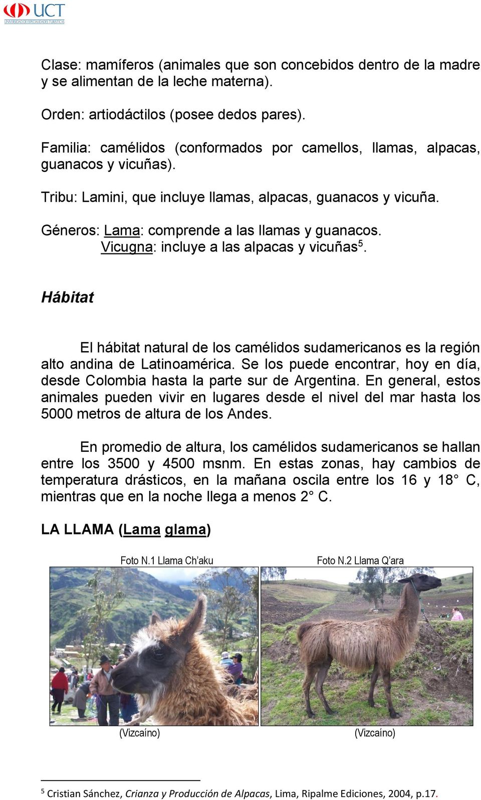 Vicugna: incluye a las alpacas y vicuñas 5. Hábitat El hábitat natural de los camélidos sudamericanos es la región alto andina de Latinoamérica.