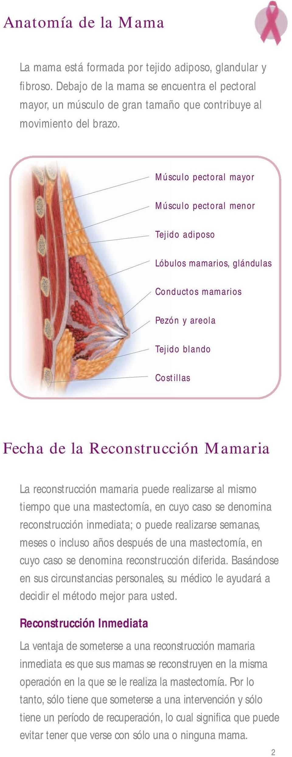 mamaria puede realizarse al mismo tiempo que una mastectomía, en cuyo caso se denomina reconstrucción inmediata; o puede realizarse semanas, meses o incluso años después de una mastectomía, en cuyo