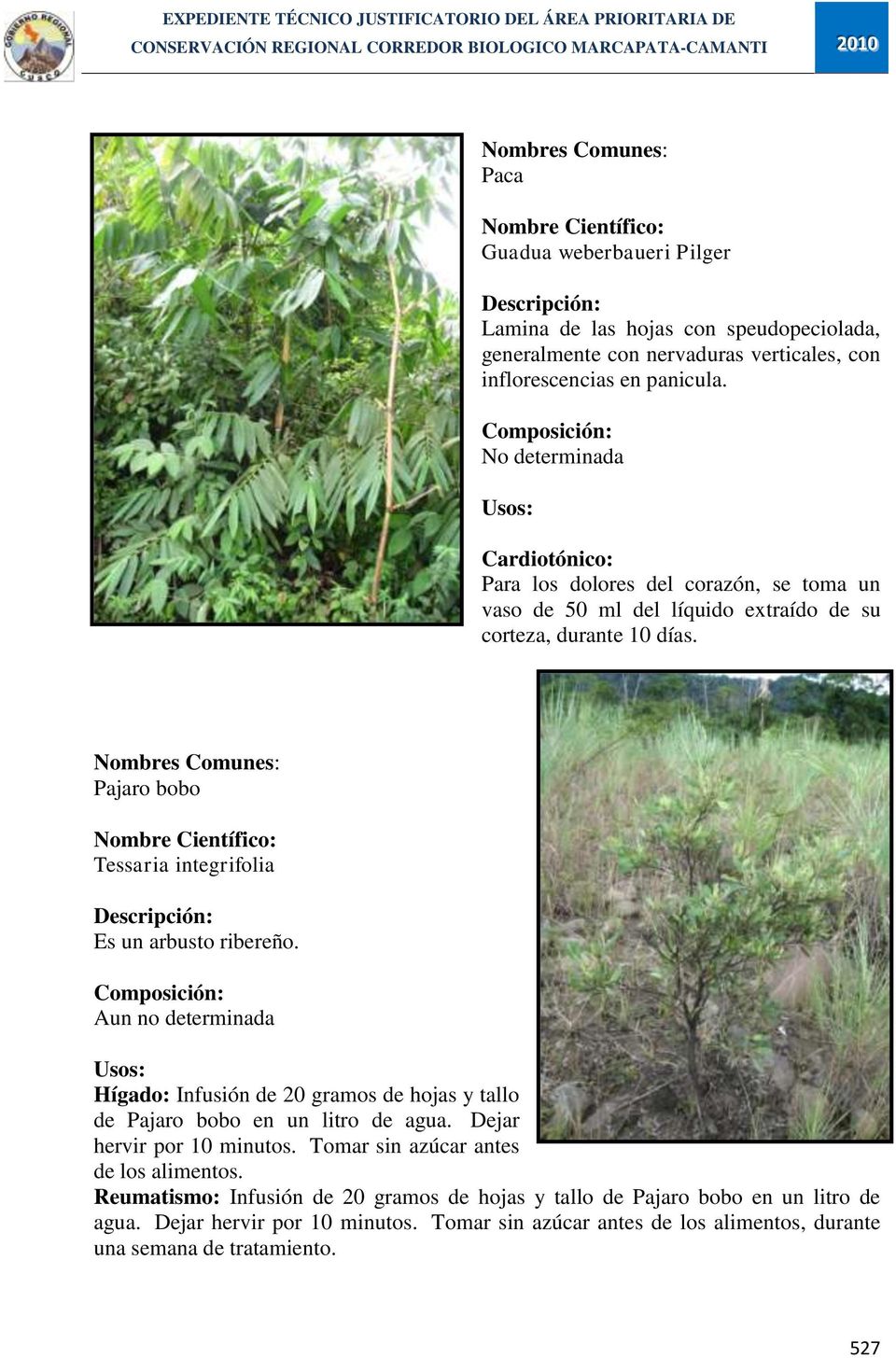 Pajaro bobo Tessaria integrifolia Es un arbusto ribereño. Aun no determinada Hígado: Infusión de 20 gramos de hojas y tallo de Pajaro bobo en un litro de agua.