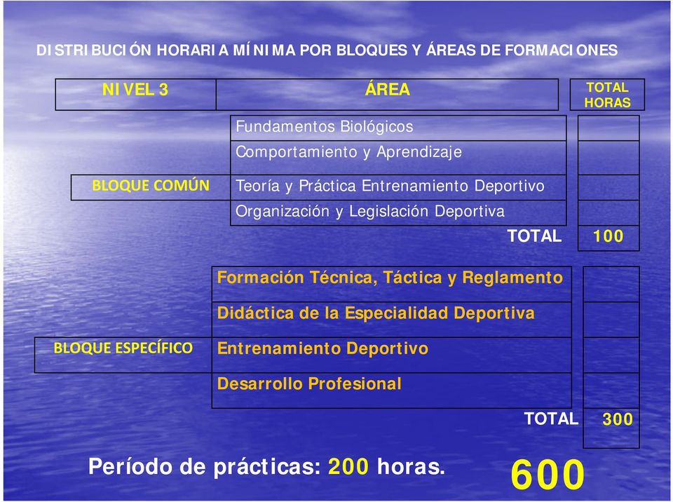 y Legislación Deportiva TOTAL 100 Formación Técnica, Táctica y Reglamento Didáctica de la Especialidad