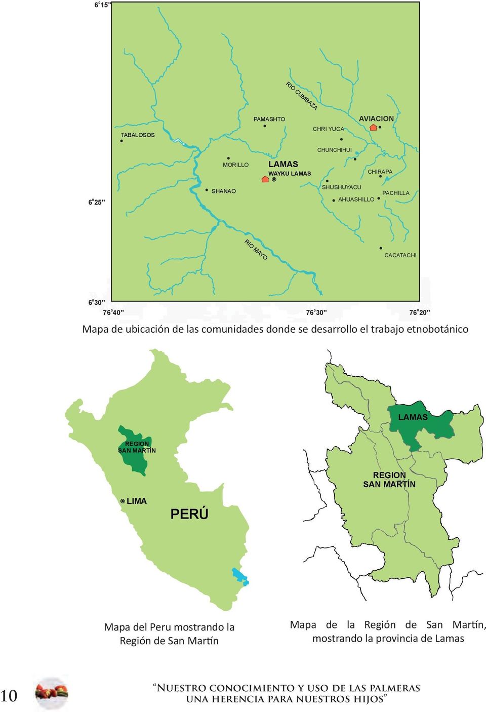 el trabajo etnobotánico LAMAS REGION SAN MARTÍN REGION SAN MARTÍN LIMA PERÚ Mapa del Peru mostrando la Región de San Martín Mapa de