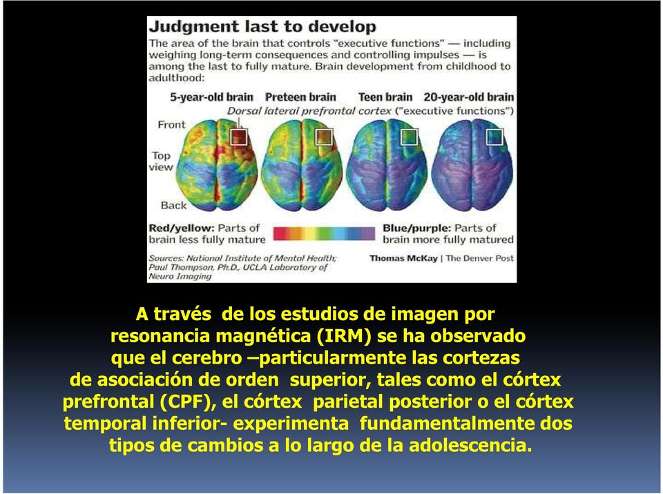 como el córtex prefrontal (CPF), el córtex parietal posterior o el córtex temporal