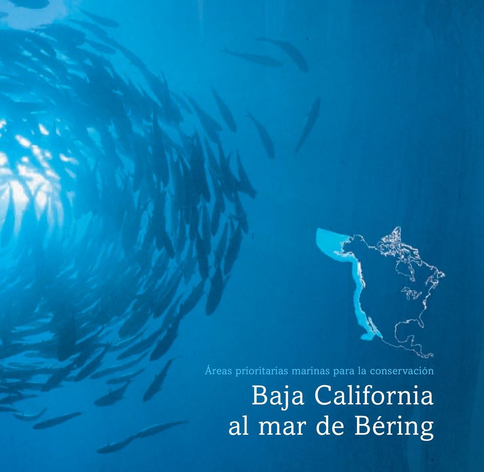 conservación Baja