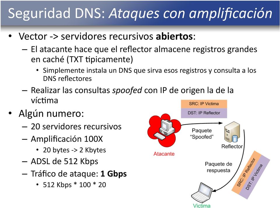 y consulta a los DNS reflectores Realizar las consultas spoofed con IP de origen la de la víc]ma Algún numero: 20
