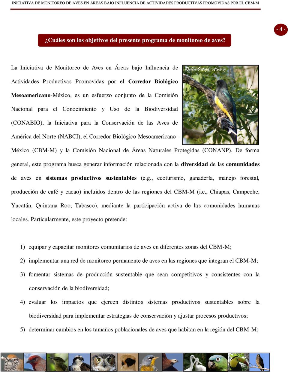 Comisión Nacional para el Conocimiento y Uso de la Biodiversidad (CONABIO), la Iniciativa para la Conservación de las Aves de América del Norte (NABCI), el Corredor Biológico Mesoamericano México