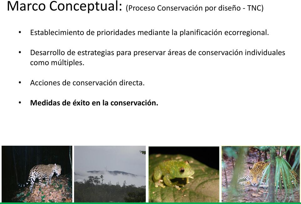 Desarrollo de estrategias para preservar áreas de conservación