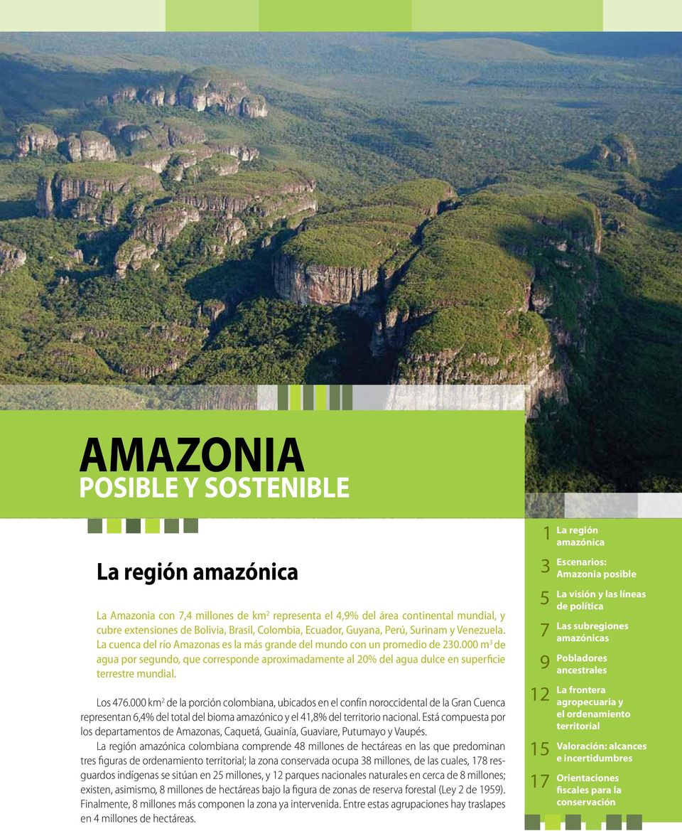 Los 476.000 km 2 de la porción colombiana, ubicados en el confín noroccidental de la Gran Cuenca representan 6,4% del total del bioma amazónico y el 41,8% del territorio nacional.