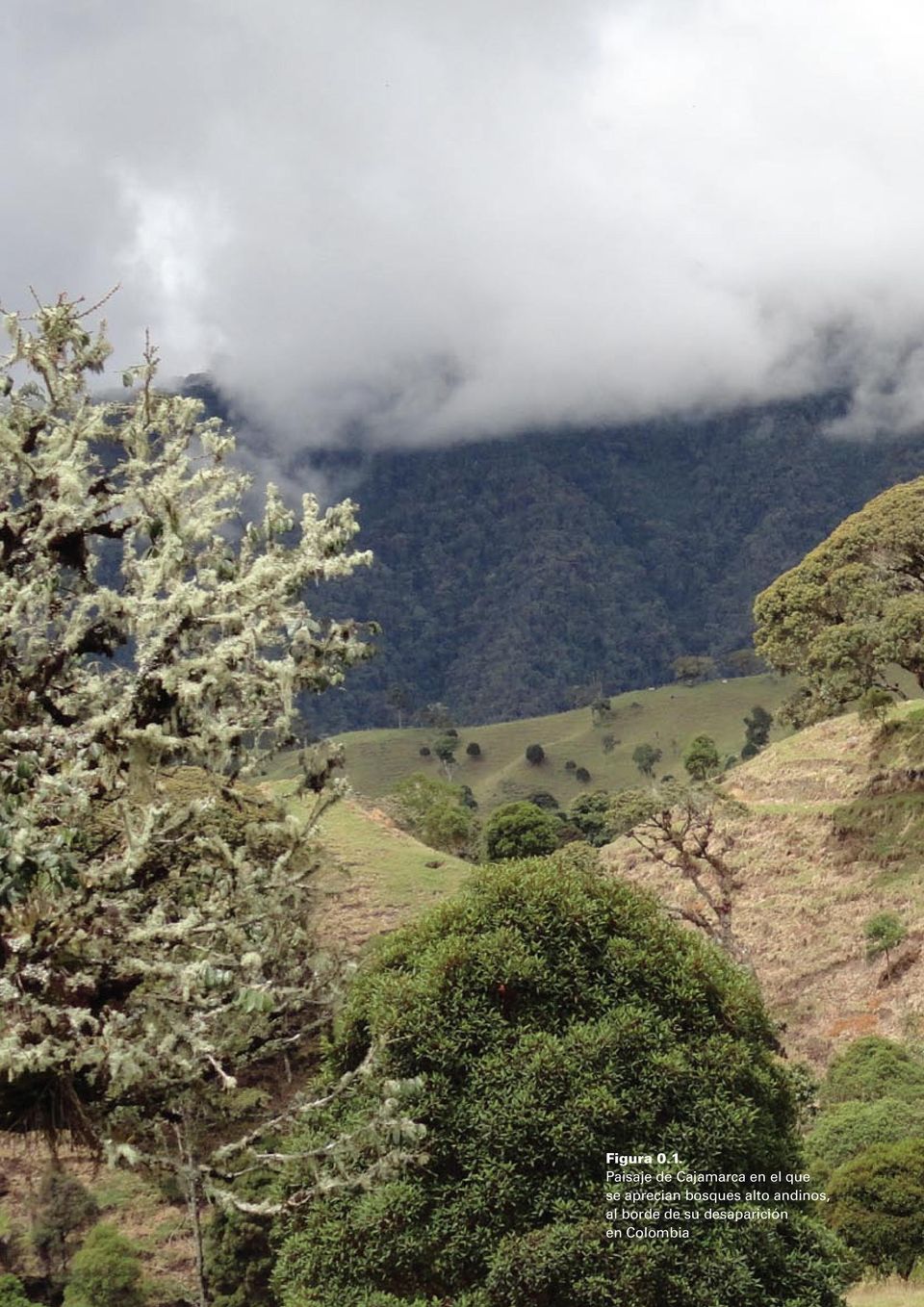 Paisaje de Cajamarca en el que se