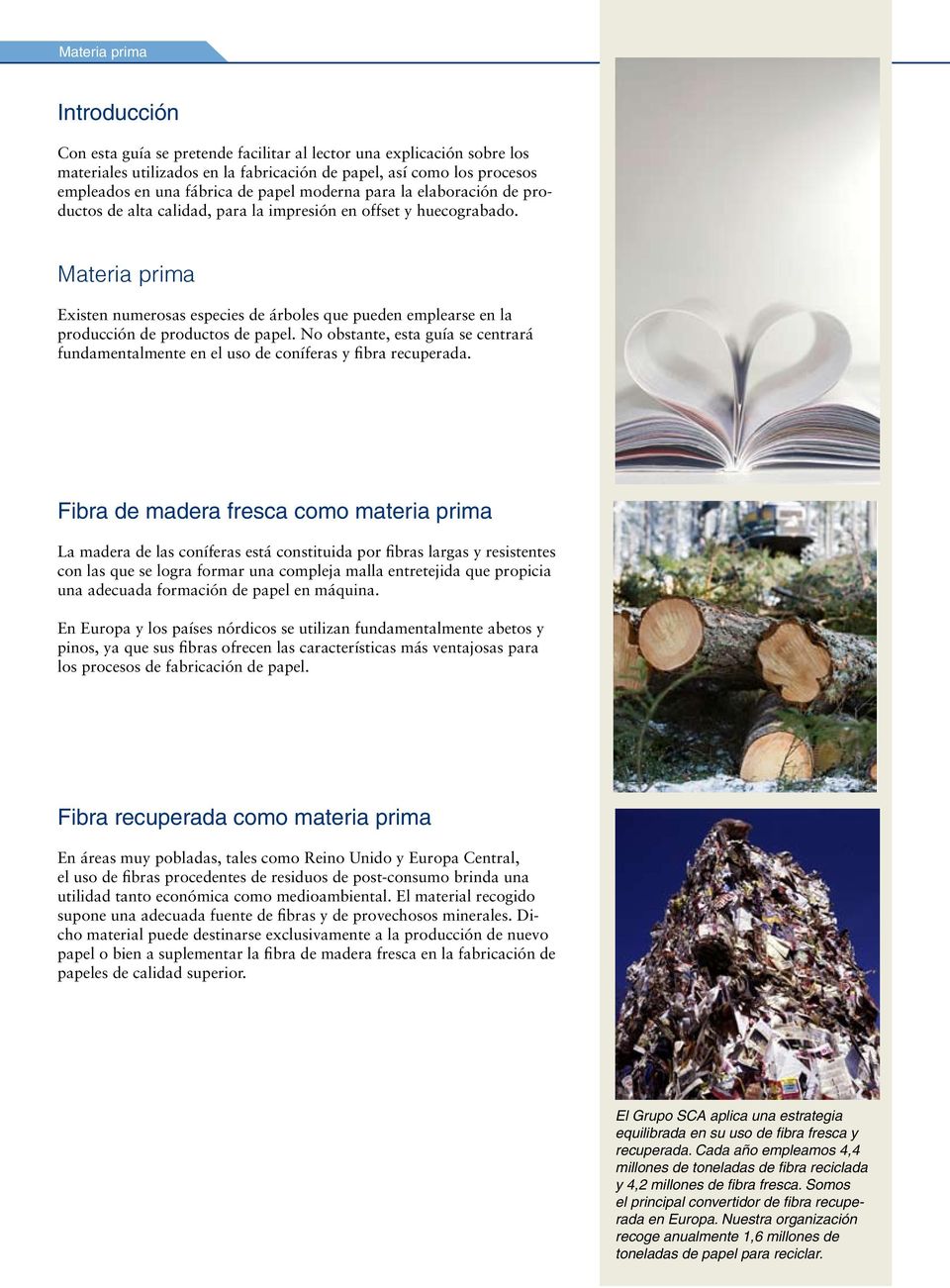 Materia prima Existen numerosas especies de árboles que pueden emplearse en la producción de productos de papel.