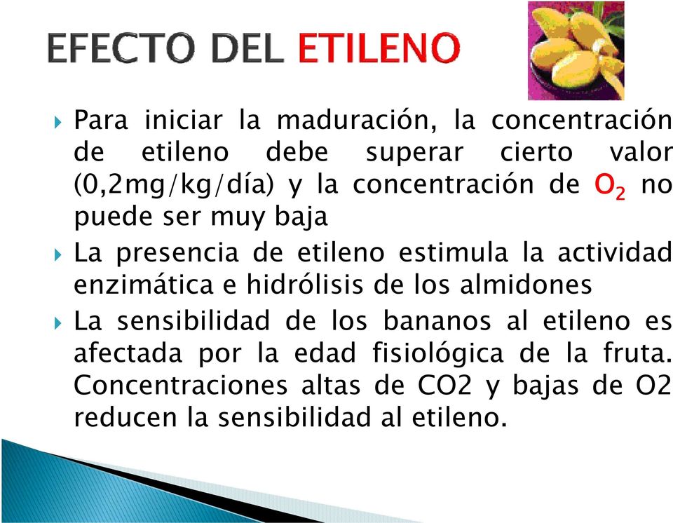 enzimática e hidrólisis de los almidones La sensibilidad de los bananos al etileno es afectada por