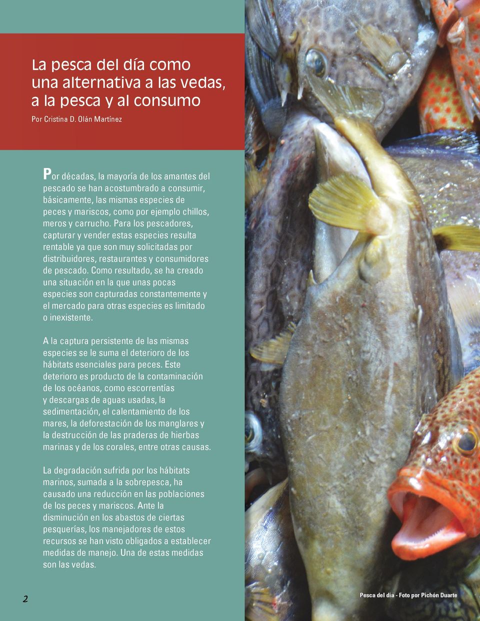 Para los pescadores, capturar y vender estas especies resulta rentable ya que son muy solicitadas por distribuidores, restaurantes y consumidores de pescado.
