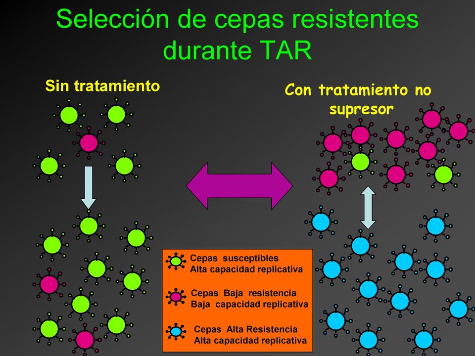susceptibles Alta capacidad replicativa Cepas Baja