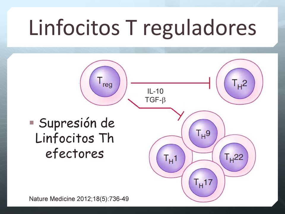 efectores IL-10 TGF-b