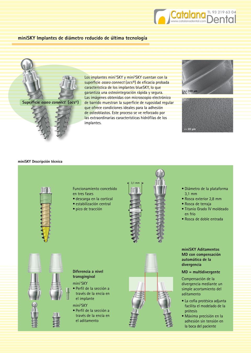 Las imágenes obtenidas con microscopio electrónico de barrido muestran la superficie de rugosidad regular que ofrece condiciones ideales para la adhesión de osteoblastos.