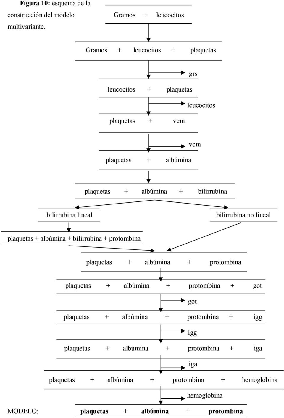 bilirrubina lineal bilirrubina no lineal plaquetas + albúmina + bilirrubina + protombina plaquetas + albúmina + protombina plaquetas + albúmina +