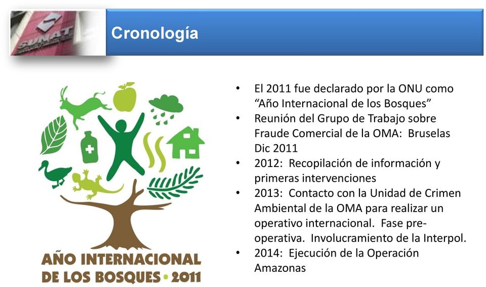 primeras intervenciones 2013: Contacto con la Unidad de Crimen Ambiental de la OMA para realizar un