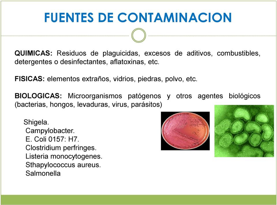 BIOLOGICAS: Microorganismos patógenos y otros agentes biológicos (bacterias, hongos, levaduras, virus,