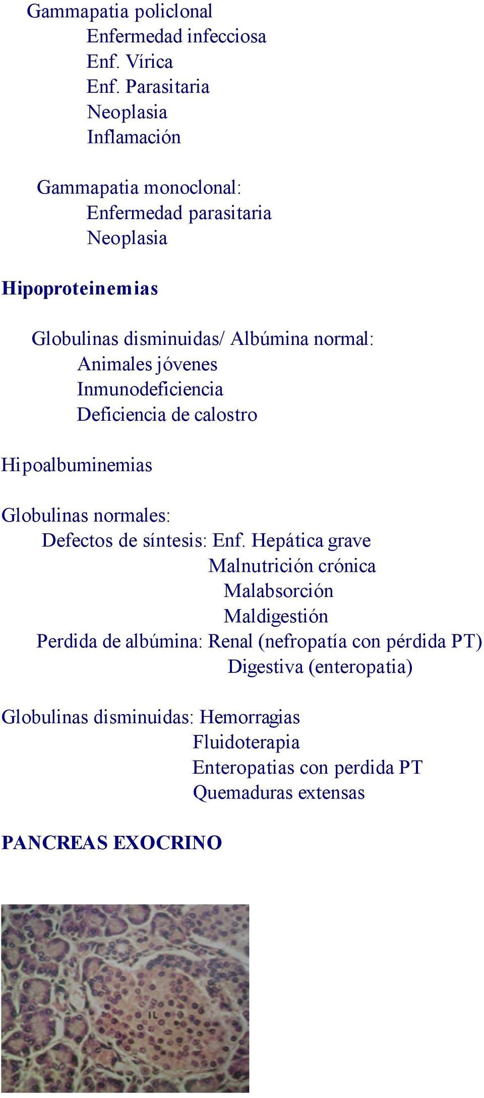Animales jóvenes Inmunodeficiencia Deficiencia de calostro Hipoalbuminemias Globulinas normales: Defectos de síntesis: Enf.