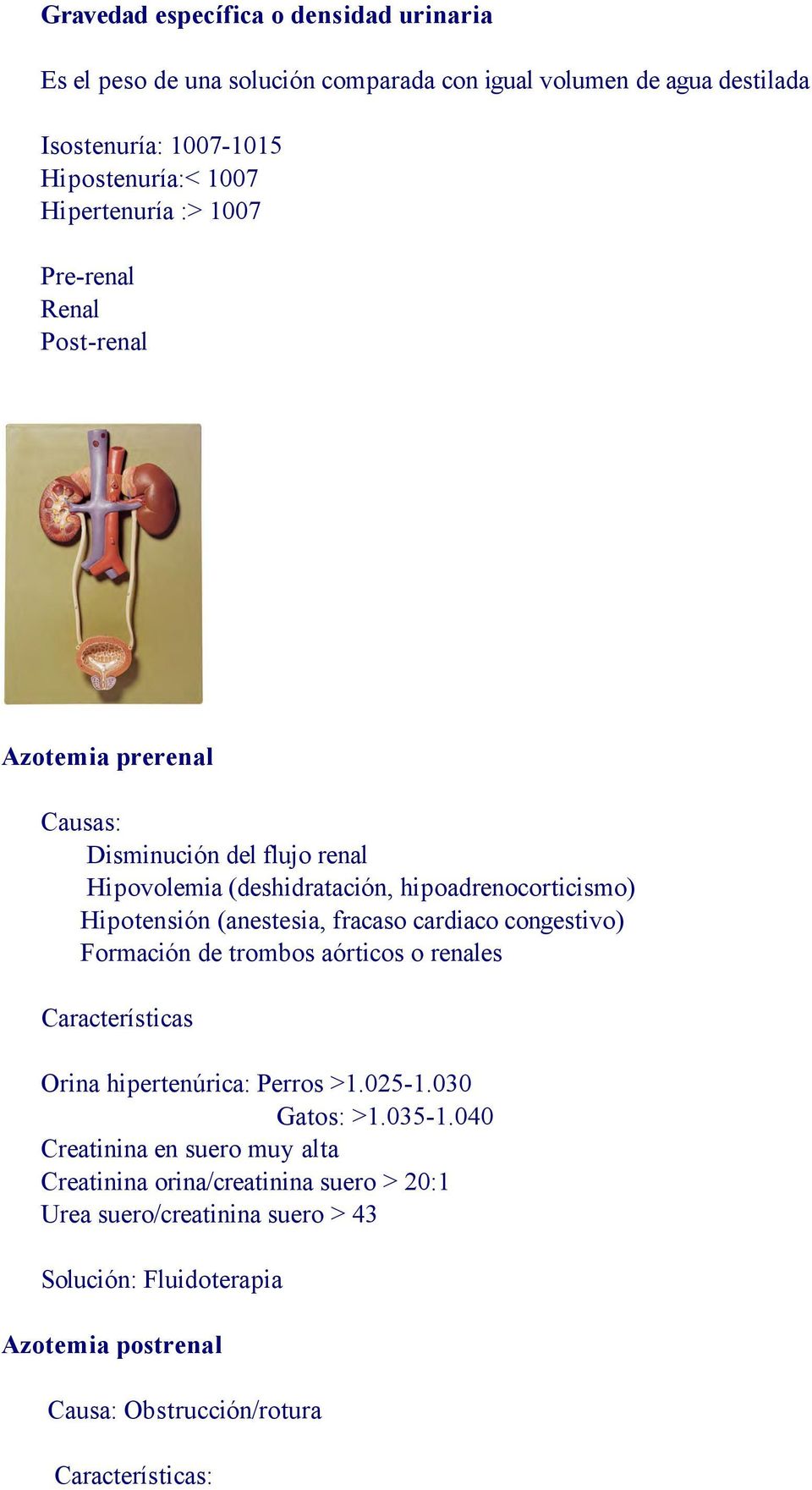 (anestesia, fracaso cardiaco congestivo) Formación de trombos aórticos o renales Características Orina hipertenúrica: Perros >1.025-1.030 Gatos: >1.035-1.