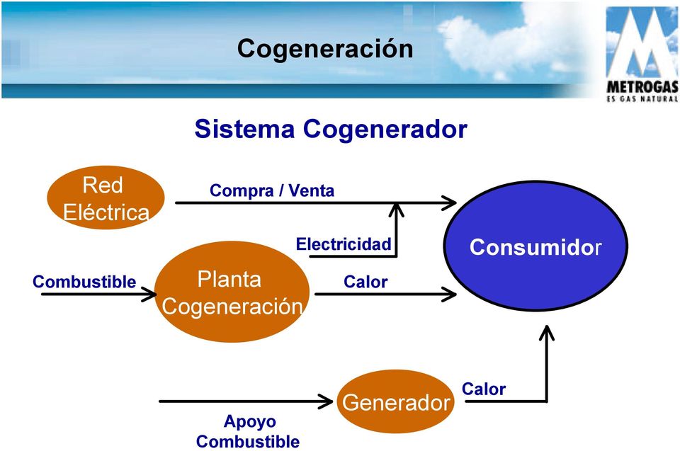 Planta Cogeneración Electricidad Calor