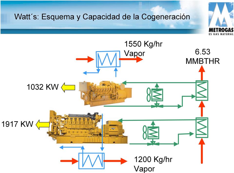 Cogeneración 1550 Kg/hr
