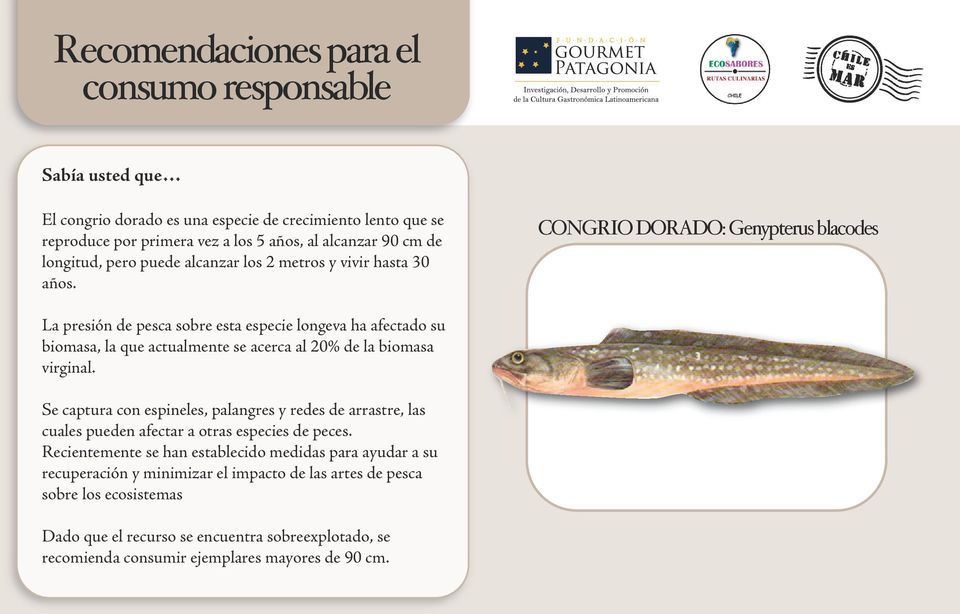 CONGRIO DORADO: Genypterus blacodes La presión de pesca sobre esta especie longeva ha afectado su biomasa, la que actualmente se acerca al 20% de la biomasa virginal.
