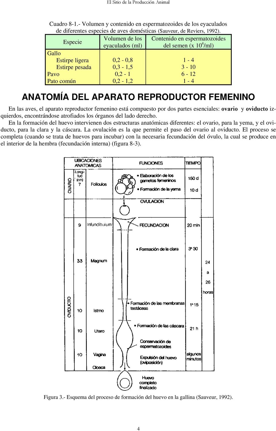 DEL APARATO REPRODUCTOR FEMENINO En las aves, el aparato reproductor femenino está compuesto por dos partes esenciales: ovario y oviducto izquierdos, encontrándose atrofiados los órganos del lado